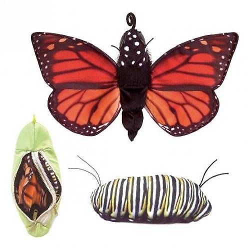Jouets: Folkmanis Schmetterling Metamorphose – Neuf (Voir description) à Zürich par gebi77