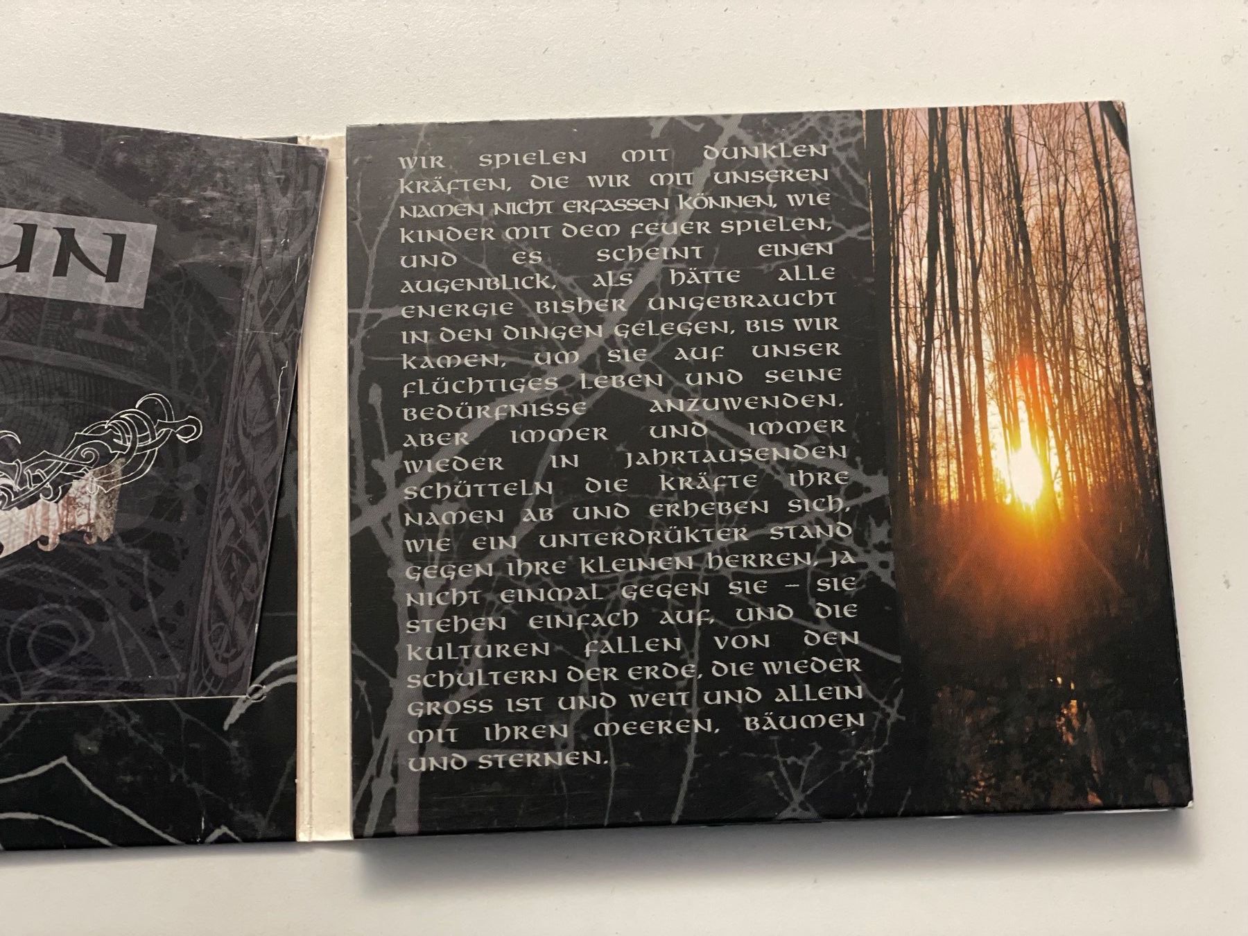 CD: FAUN - Licht - Folk Neoclassical - Top RAR – Usato da Muri b. Bern venduto da AdidasCollector 2
