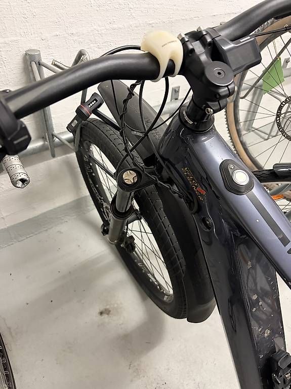 Biciclette: Bergstrom E-Bike – Usato da Zürich venduto da ram_tlf5 1