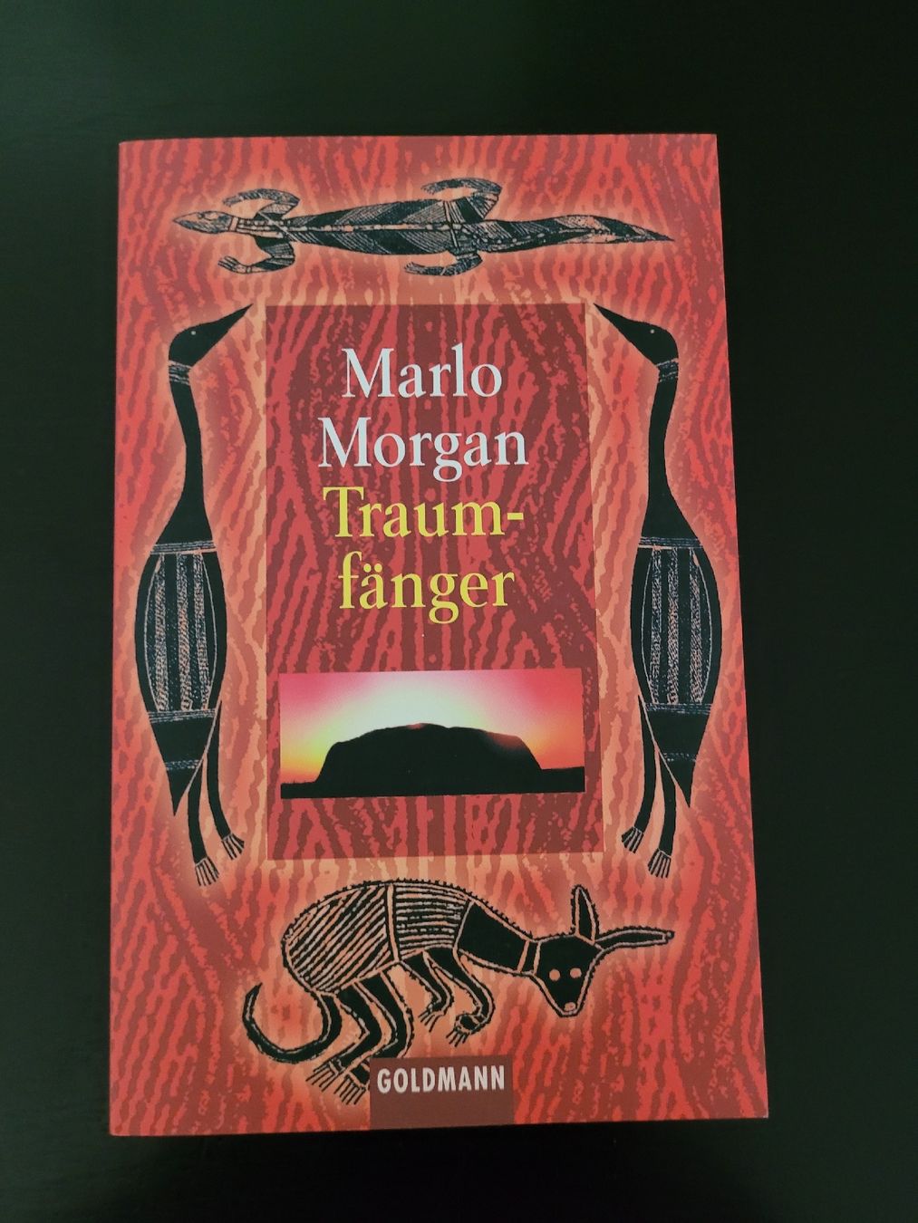 Libri: Bücher 4er Set, Romane – Usato da Büren NW venduto da nie_k6382 1