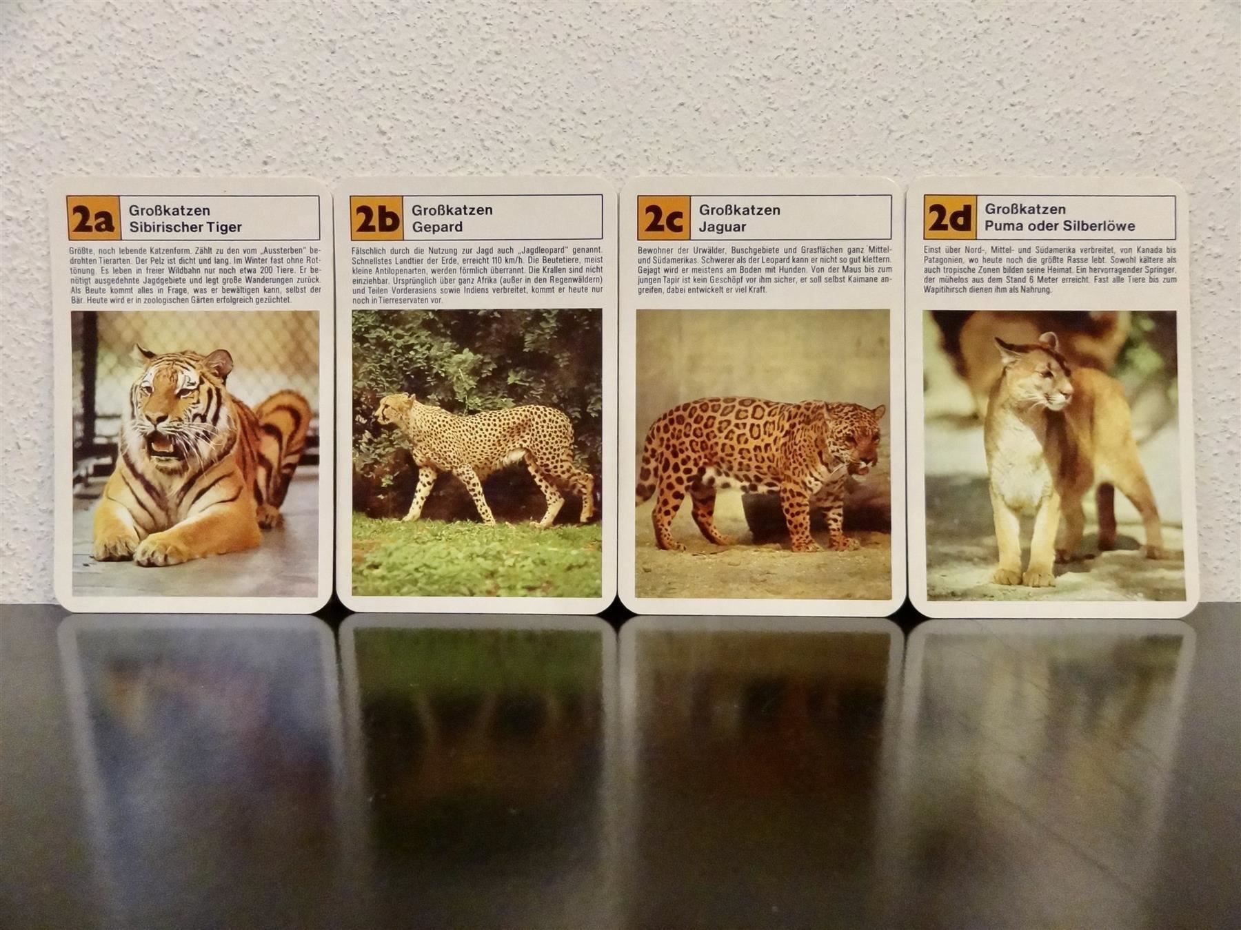 Spiele: Quartett TIER-QUARTETT ZOO-TIERE – Gebraucht aus Kerzers von wisaundso 7