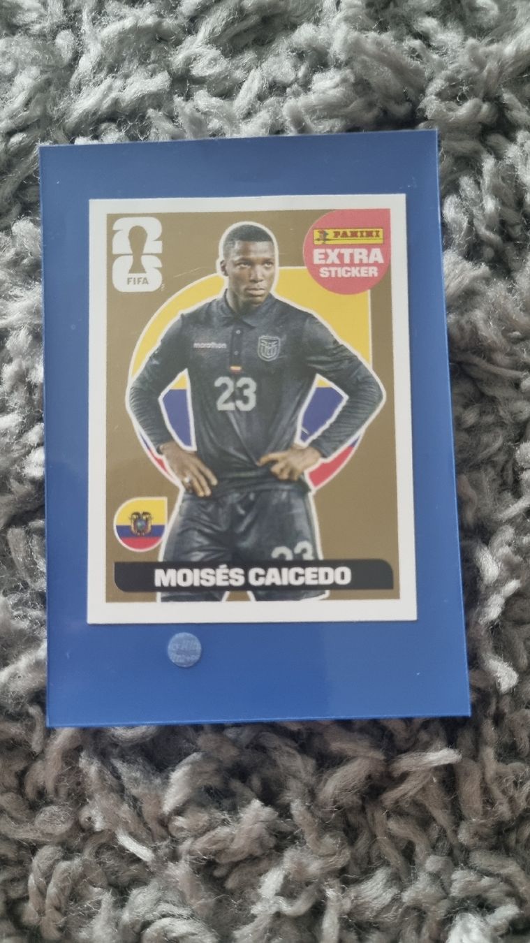 Panini Carte collezionabili: WM Panini – Usato da Lausen venduto da pga_6xwg