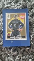 WM Panini