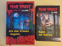 Fear Street: "Als das Grauen begann" & "Nacht der Schreie"