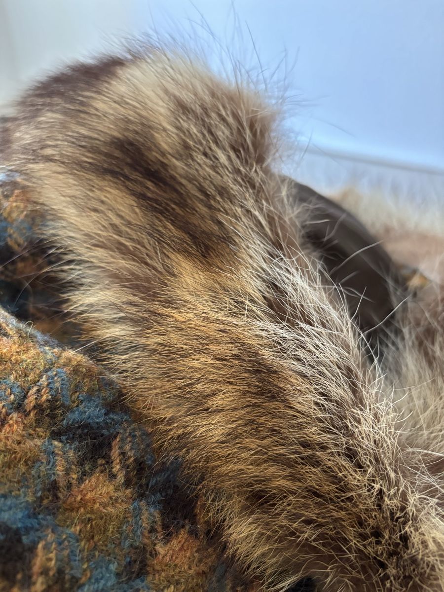Mäntel: Vintage Pure Wool Coat from Paris – Gebraucht aus Basel von suz_6bsc 2