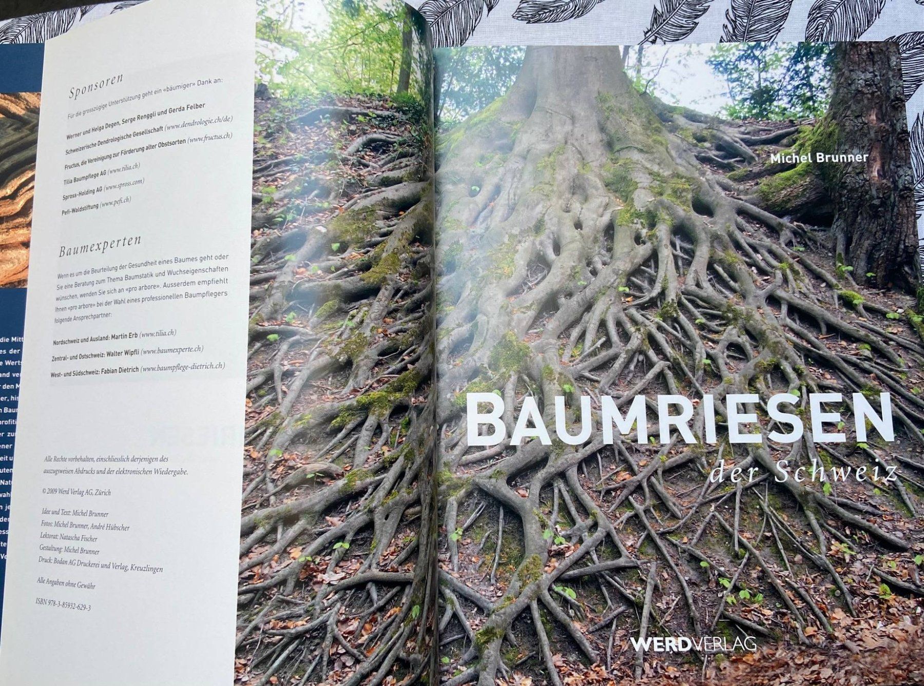 Libri: Baumriesen - Buch von Michael Brunner, neuwertig, ungelesen – Nuovo (secondo la descrizione) da Oberuzwil venduto da gca_n6py 1