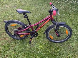 Vélo enfant Scott Syncros 20 pouces