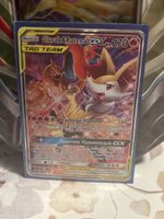 Glurak und Rutena Pokemon