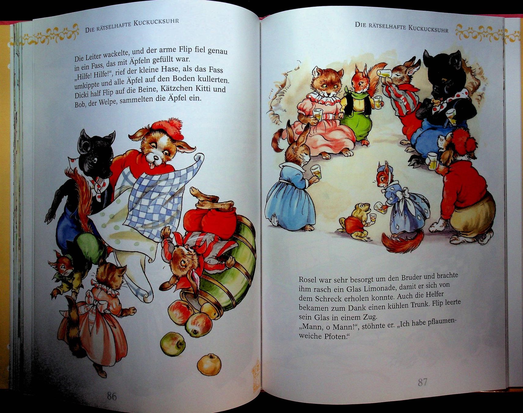 Libri: Die schönsten Hasenwaldgeschichten – Usato da Reitnau venduto da Zaomir 7