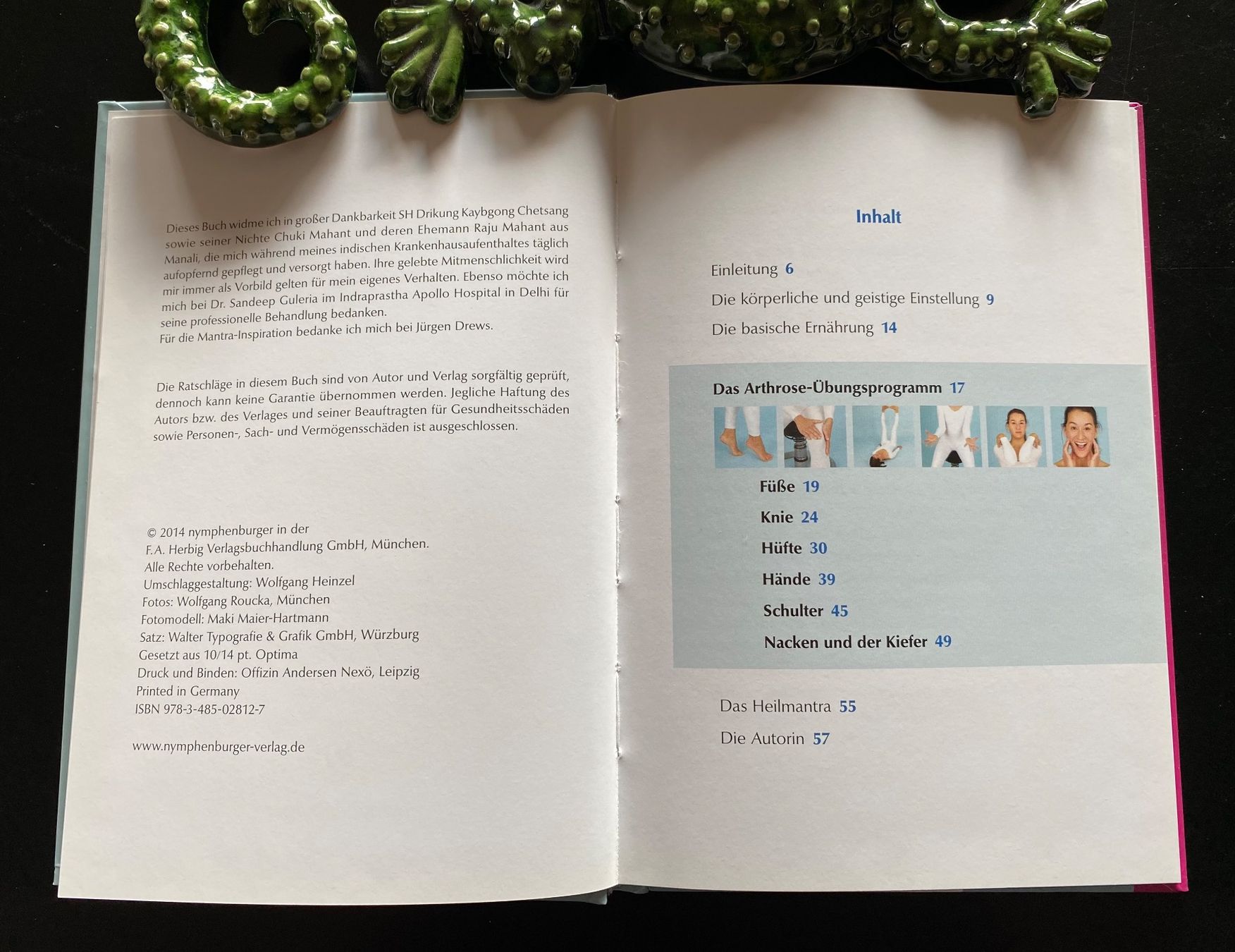 Libri: Hilfe bei Arthrose – Usato da Nussbaumen AG venduto da schuba2000 1
