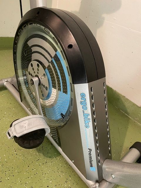 Hometrainer: Ergo Bike Daum – Usato da Schlieren venduto da Kasimir19 1