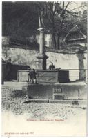 Fribourg  -  Fontaine  du  Sauvage    (animé)