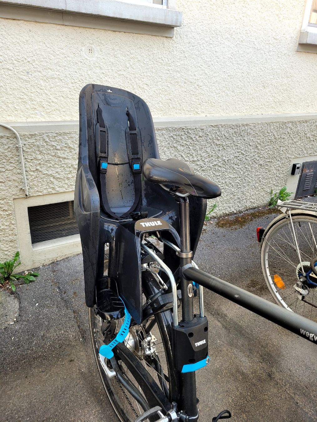 Seggiolini per auto: Kindersitz Fahrrad Thule – Usato da Bern venduto da MoeDoe