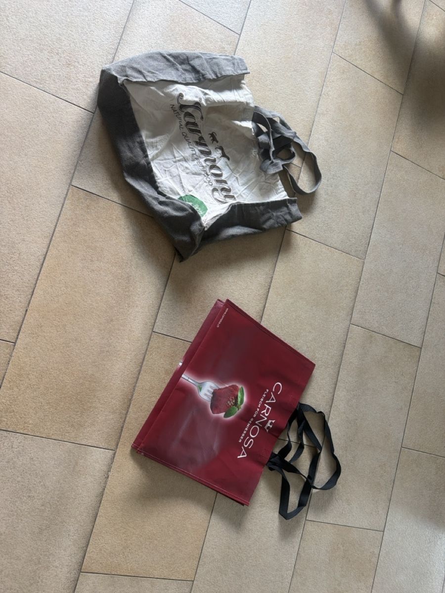 Borse: 2x Einkaufstaschen Stoff & Plastik – Usato da Luterbach venduto da andybasilbenz