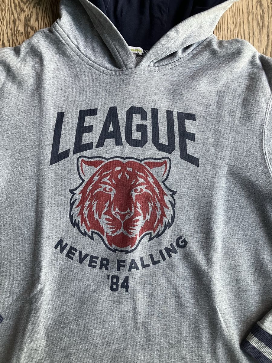 Pulls et sweat-shirts: Hellgrauer Kapuzenpulli 164 – D'occasion à Cham par Liliane78 1