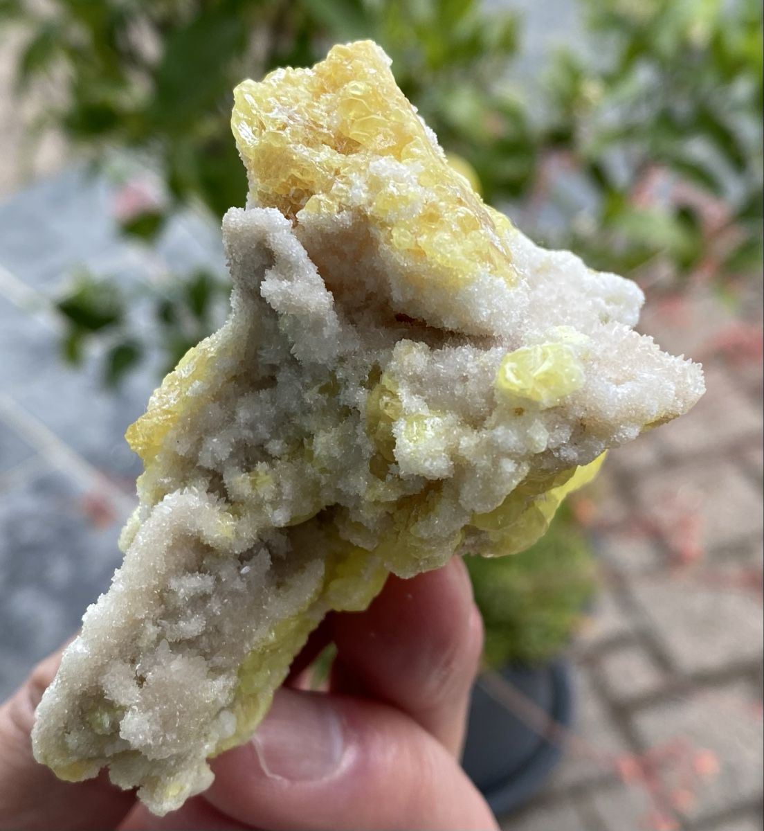 Minerali & Pietre curative: Schönes Stück Schwefel  – Usato da Selzach venduto da 321compac 6