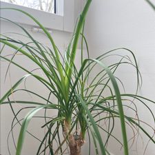 Profile image of lis_z972