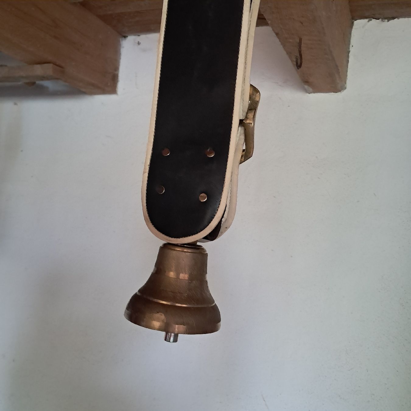 Campanacci mucche: SCHWEIZER GLOCKE 1986 – Usato da Murten venduto da SHETHOF 3