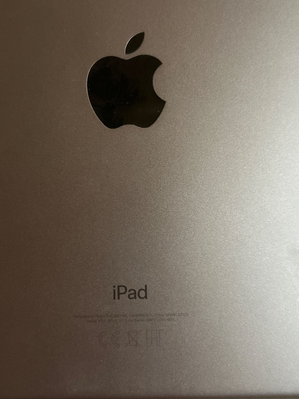 Apple Tablet PC: Apple iPad Mini 5. Generation DMPCV1FPLM93 – Usato da Jegenstorf venduto da Erin-00 3