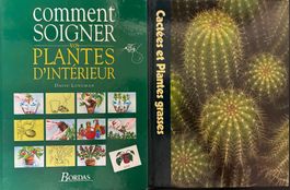 Soigner les plantes et les cactus