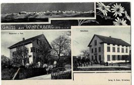 Gruss aus Winterberg  1911