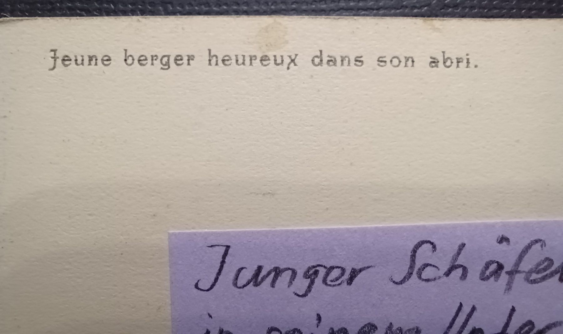 Cartoline postali: WO, WER, Junger Schäfer im Unterstand, – Usato da Aarau Rohr venduto da mgvw 4