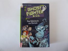 Das Geheimnis von Gorrum - Ghost Fighter, 1. Auflage 2015
