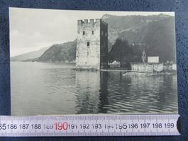 STANSSTAD SCHNITZELTURM FISCHEREI-BETRIEB NETZE AK ONW