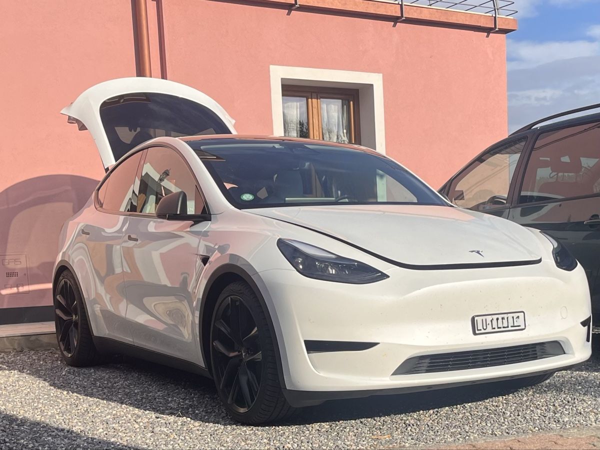 Il mondo degli animali: Eibach Tieferlegungsfedern Tesla Model Y – Usato da Roggliswil venduto da Marla1 3