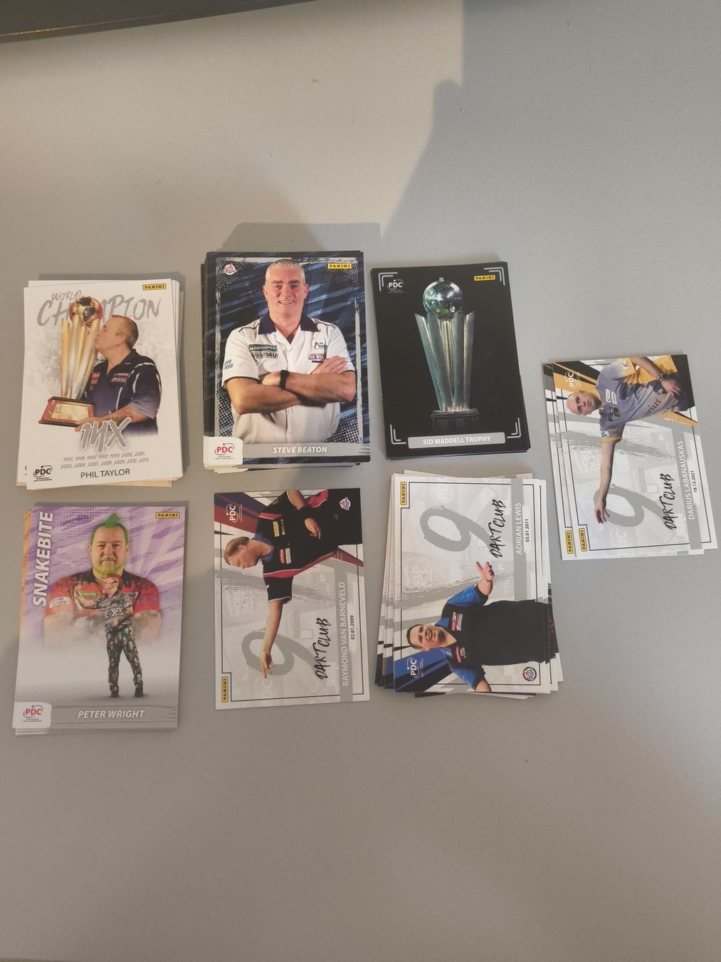 Panini Carte collezionabili: Panini PDC Darts 2025 Einzelkarten Verkauf – Nuovo (secondo la descrizione) da Bern venduto da TxZ