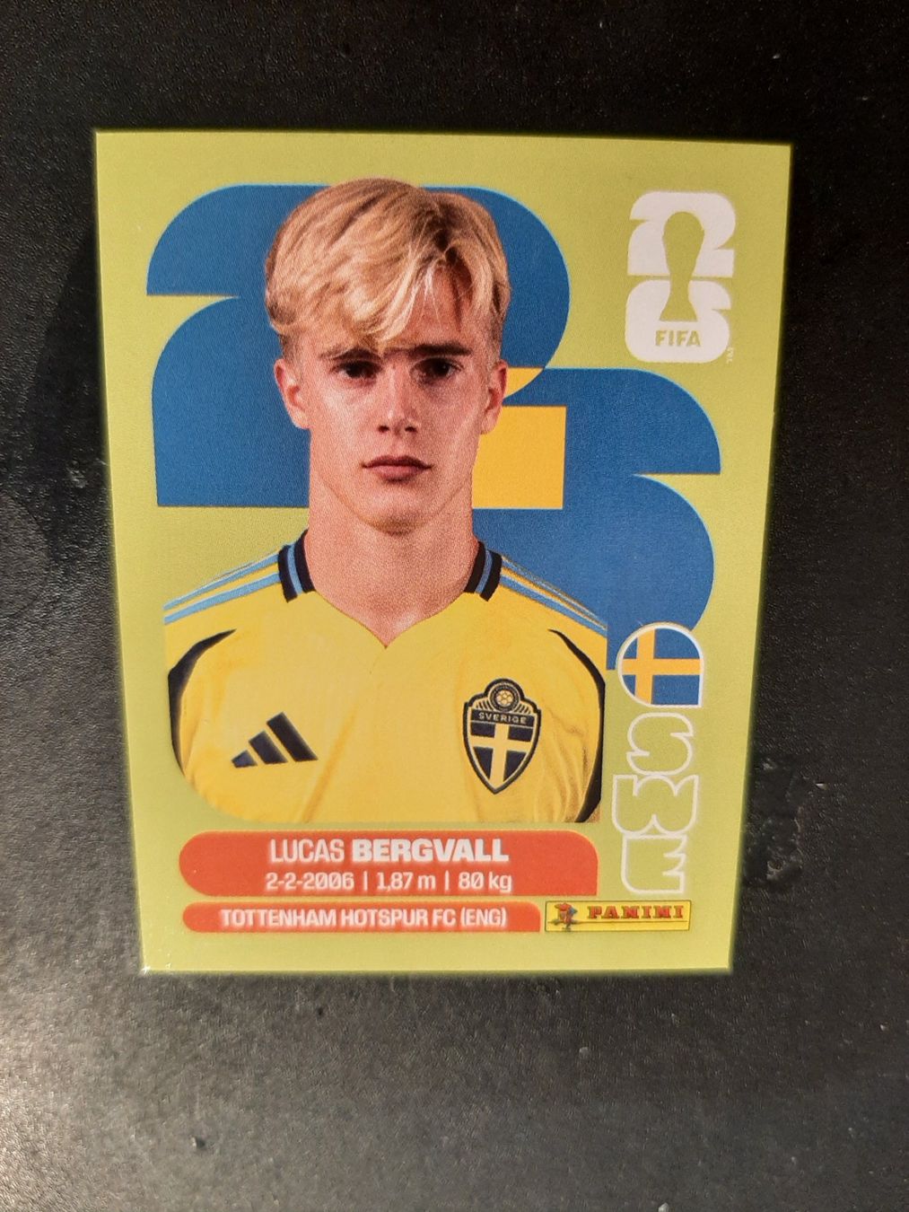 Panini Sammelbilder & Trading cards: Panini 2026 SWE8 – Neu (gemäss Beschreibung) aus Leuk-Stadt von Meic