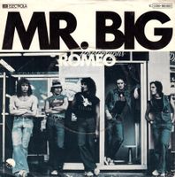 Mr. Big Vinyl Single von 1977