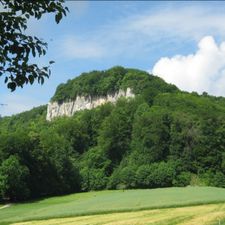 Profile image of Sehnsucht97