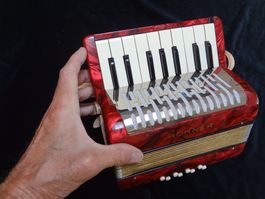 Petit accordéon Hohner Mignon I - remis à neuf, avec housse.