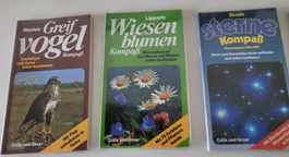 6 Handliche Ratgeber für unterwegs