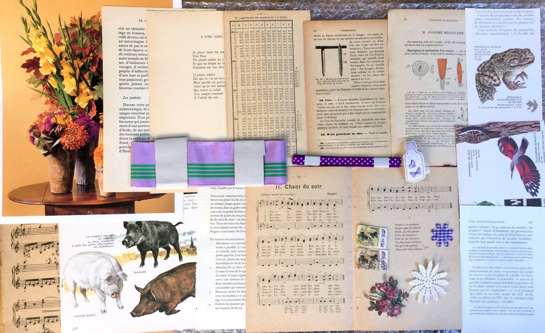 Libri: ephemera 10/papier collage bastelpapier scrapbooking+Versand – Usato da Pully venduto da websurfer1 5