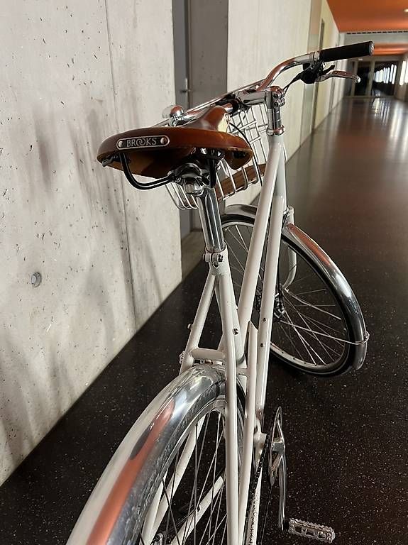Biciclette: Pelago Airisto  – Usato da Adliswil venduto da Ursula8102 3