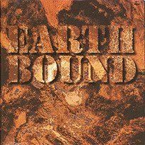 CD: Fredy Studer, Bonnie Barnett, Hermann Bühler - Earth Bound – Usato da Unterbäch VS venduto da Plasido