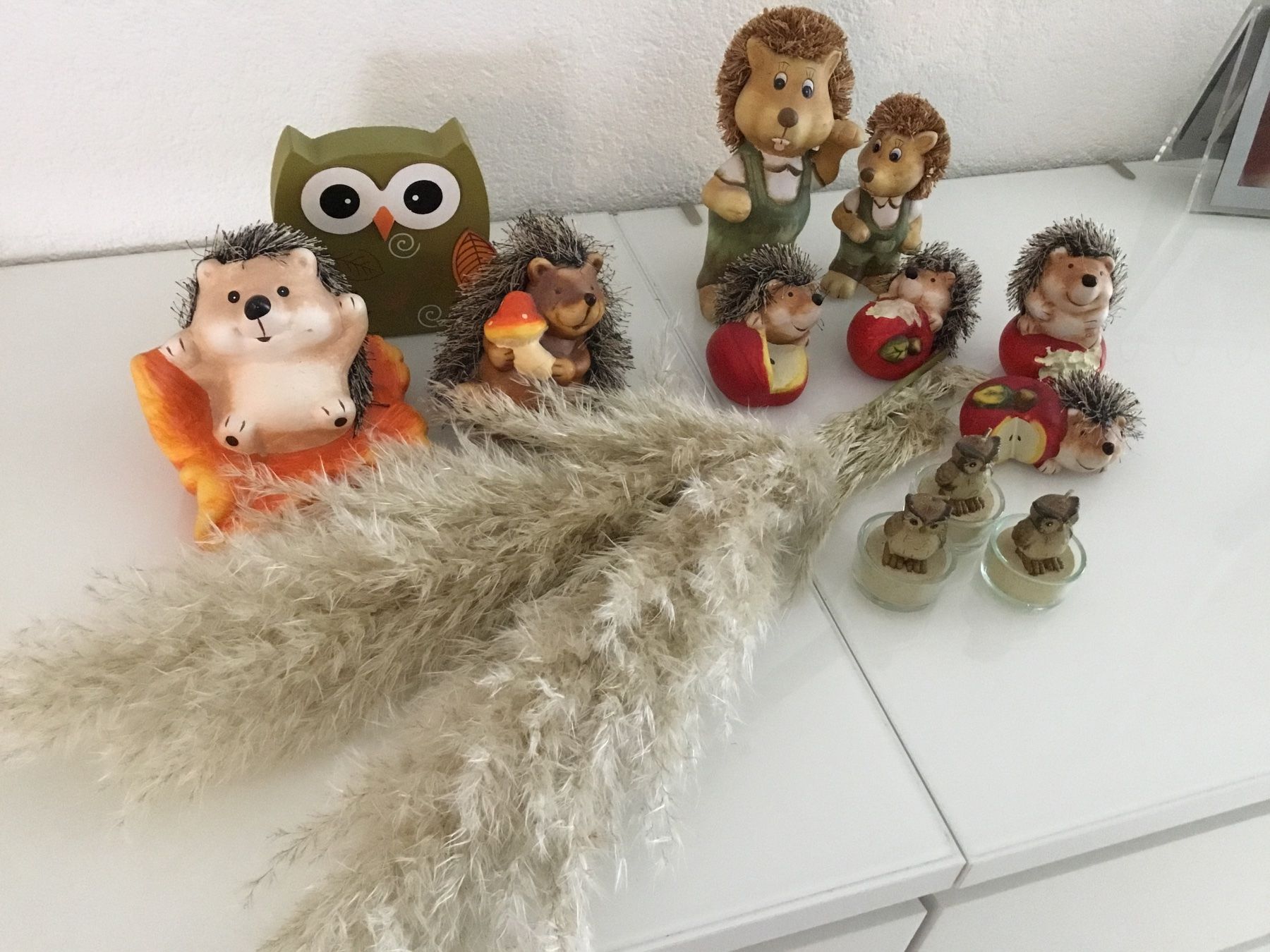 Tutte le decorazioni: Tolles Herbst Deko Set – Usato da Würenlos venduto da sweety5436 1