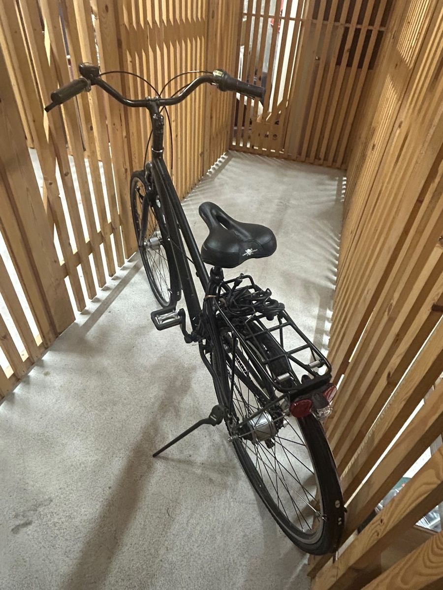 Biciclette: Damen Velo – Usato da Steinhausen venduto da bln 1