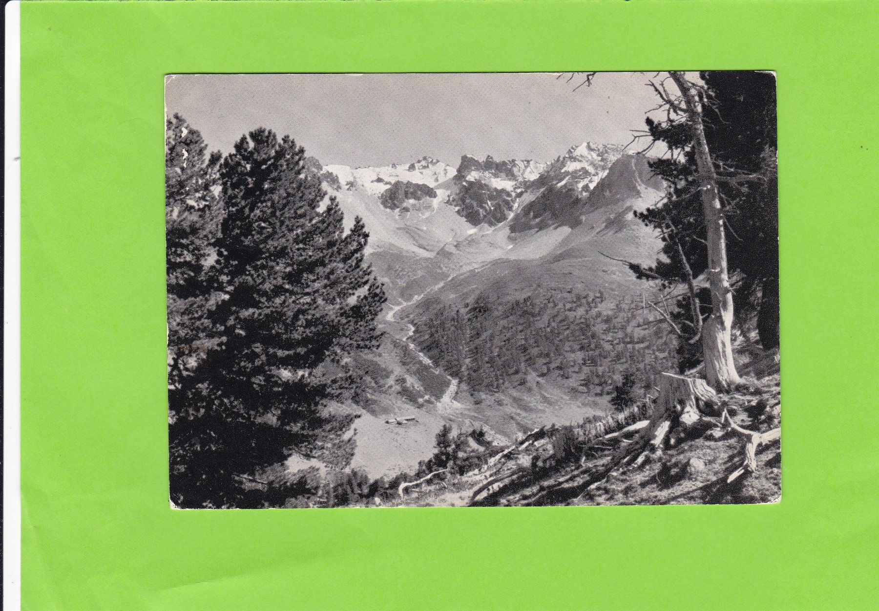 Cartoline postali: Arvenwald von Tamangur – Usato da St. Peterzell venduto da neckertal