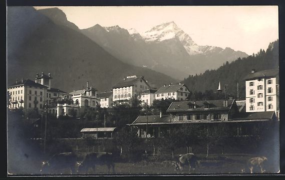 Cartoline postali: AK Thusis, Teilansicht mit Piz Beverin – Usato da Berlin venduto da bartko-reher