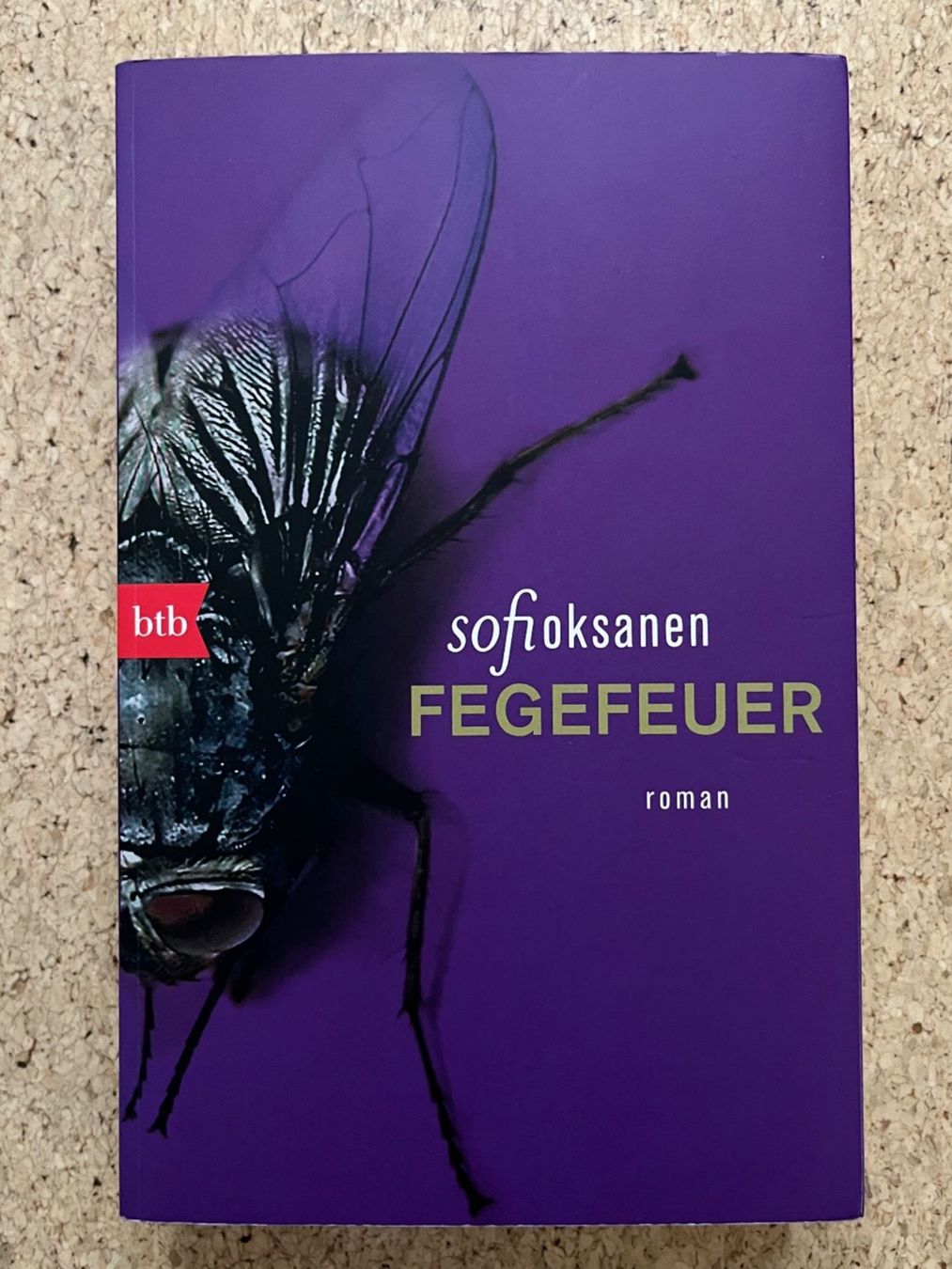 Libri: Taschenbuch "Fegefeuer", Sofi Oksanen – Usato da Grosswangen venduto da Vita500
