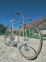 Citybike Stadtflitzer YIWU MAY