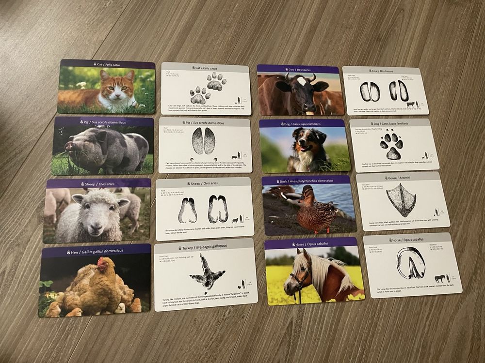 Yellow door - Jeu éducatif empreintes ferme état neuf (Neu (gemäss ...