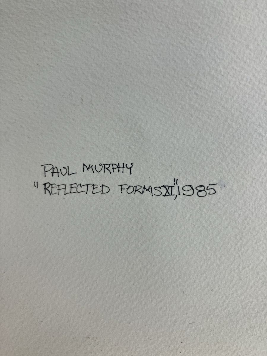 Dipinti: Grandes aquarelles de Paul Murphy – Usato da La Tour-de-Peilz venduto da mon_pd6m 2