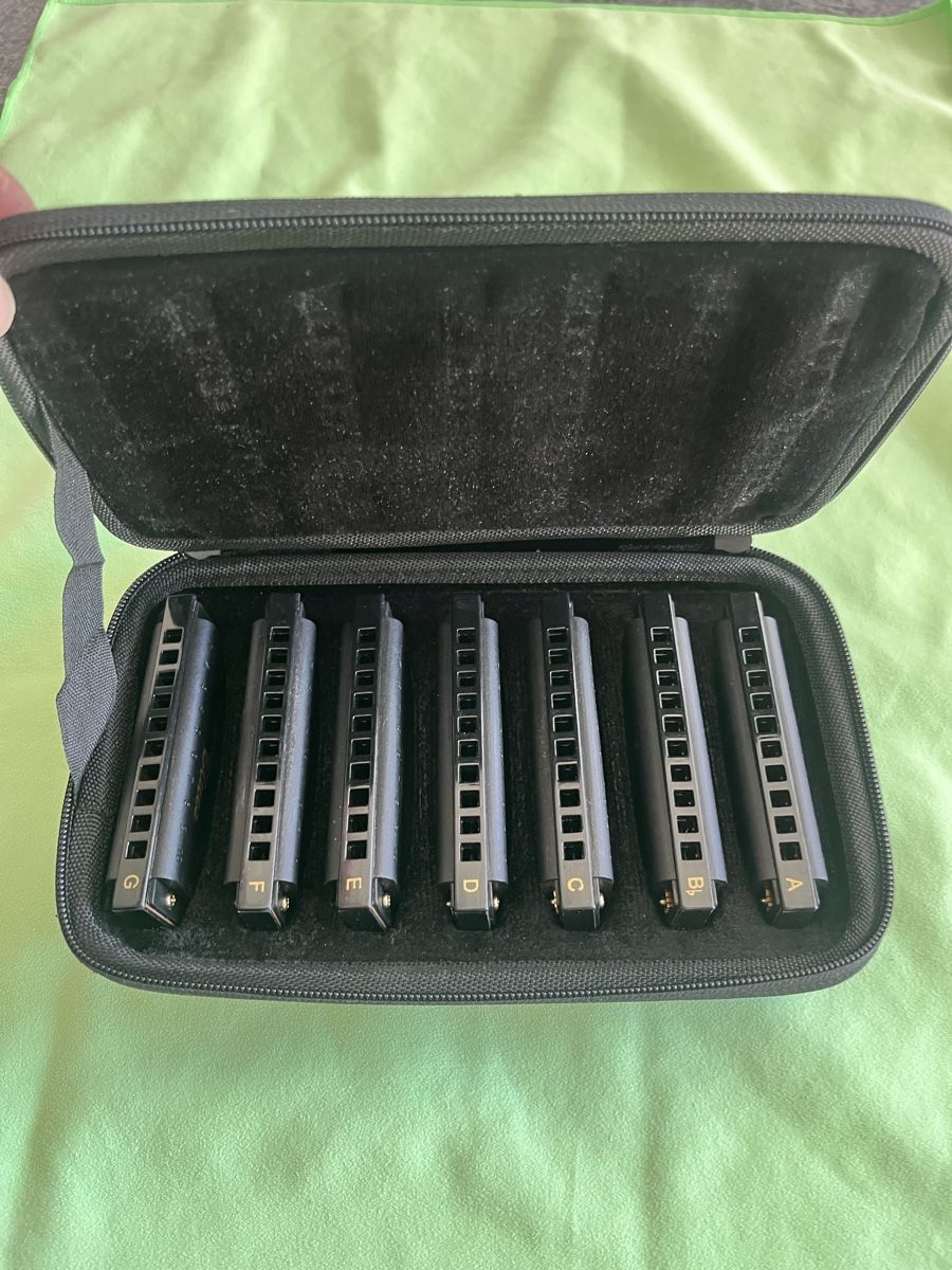 Hohner Strumenti musicali: Harmonica Hohner Piedmont Blues en Do, comme neuf – Usato da Crissier venduto da Texavery01