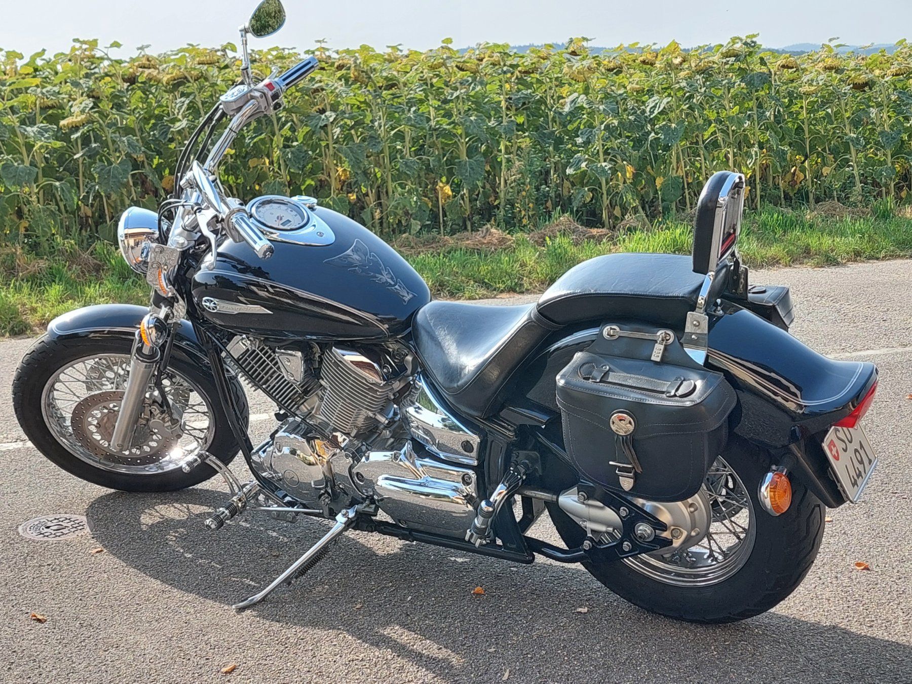 Yamaha Chopper: Yamaha XVS 1100 Drag Star – Gebraucht aus Aeschi SO von dragstar 1