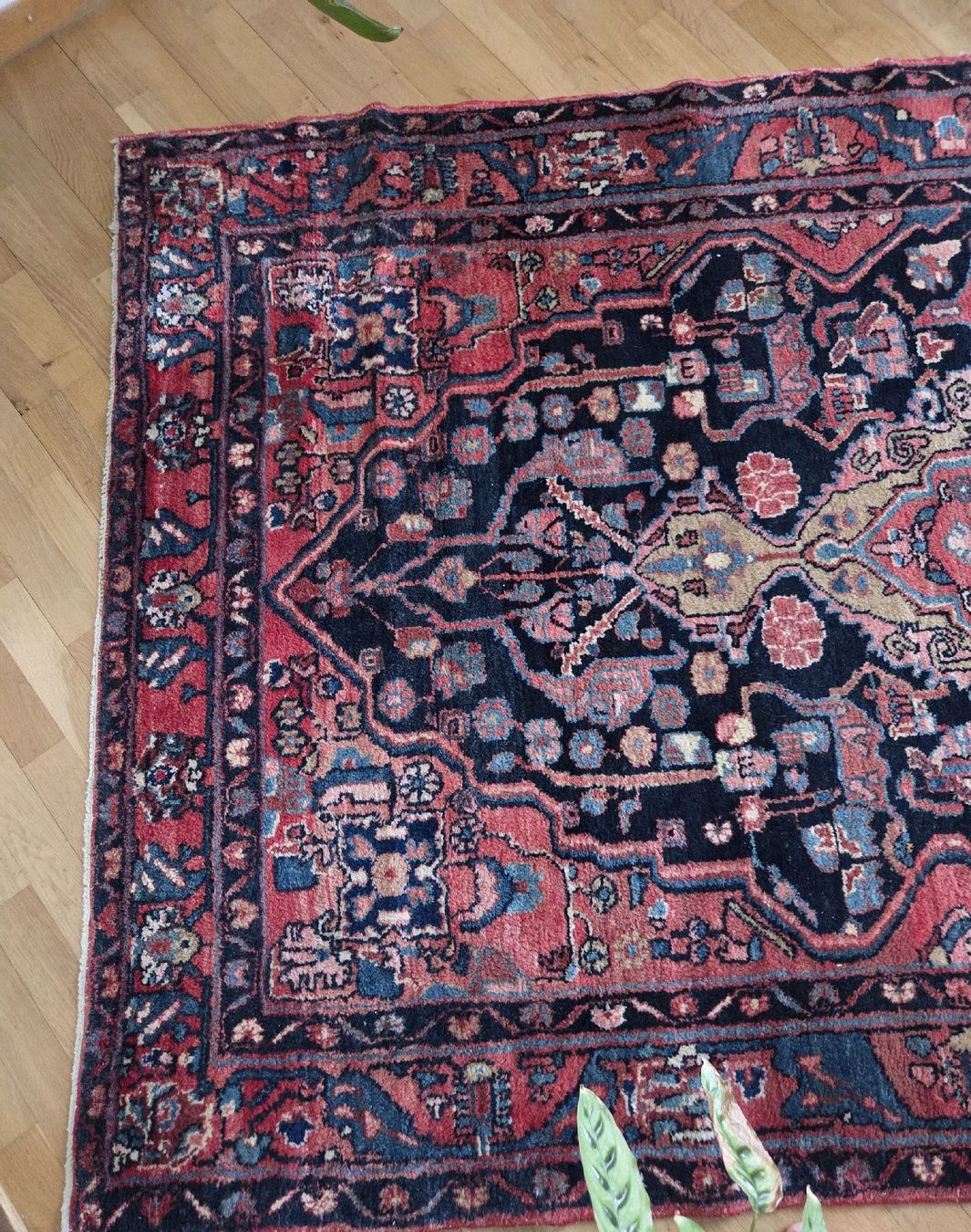 Teppiche: Teppich – Gebraucht aus Zürich von PatriciaAnna 2