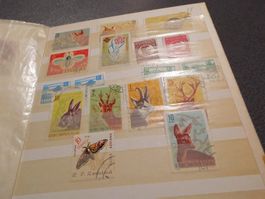 Briefmarken R.R.  Romina